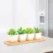 1 Stück Bambus-Tablett aus Holz, Sukkulenten-Kaktus-Halter, Topftablett, einfaches elegantes Design, Heimdekoration, Pflanze, Blumentopf, Untertasse, rechteckige Form_voghion.com