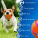 1 x interaktiver Hundespielzeugball mit Fernbedienung, aktiver Rollball für Hunde, Spielzeug für aggressives Kauen, böser Ball für kleine, mittelgroße und große Hunde_voghion.com