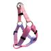 TM Hunde-Laufseil in Farbverlaufsfarbe, 2-teiliges Set, Haustier-Modeausrüstung, Y-förmiges Geschirr_voghion.com