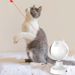 New Laser Electric Self-Entertainment Interactive Teaser Stick Pet Cat Toy_voghion.com