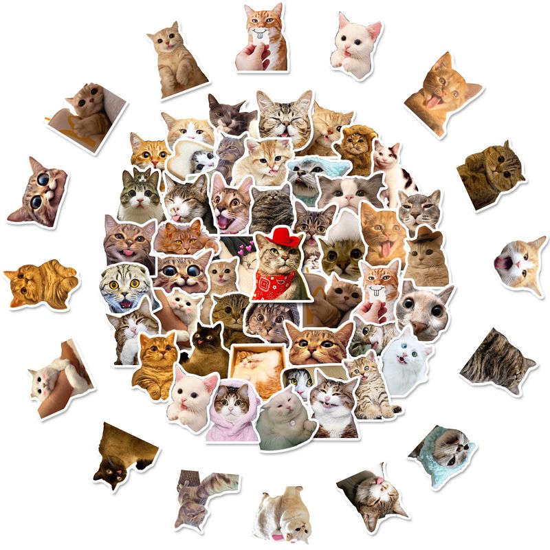 50 pegatinas de gato, lindo gato, lindo gato de celebridades de Internet, lindo paquete de expresiones de gato, pegatinas de grafiti_voghion.com