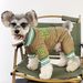 Hundkläder fyrbent bomullsrock tjock varm snygg Schnauzer Teddy Bichon Mops Shiba Inu basebolluniform trendig_voghion.com