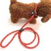 Dog Leash For Teddy Medium And Large Dogs Rope P Chain Competition Professional_voghion.com