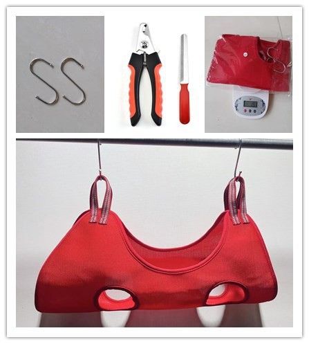 Obcinacz do pazurów dla psów i kotów, mały, średni, hamak do pielęgnacji kotów i psów_voghion.com