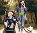 Cross-border Outdoor Sports Fanny Pack, Explosion-proof Flushing, Dog Walking Rope, Belt Retractable Running Bag, Multi-functional Pet Leash_voghion.com