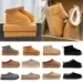 Designer Boots Ta Zz Tasman Slippers Fashionable Thick Bottom Fur Snow Boots Classic Ultra Mini Suede Wool Women's Snow Winter Warm Sheepskin Boots_voghion.com