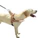 Pet With Plush Comfortable Inner Lining, Leash, Outdoor Sports Vest, Dog Harness_voghion.com