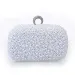 Borsa da sera con anello di perle, cucita a mano, con perline, da donna, di alta qualità, da sposa 240809_voghion.com