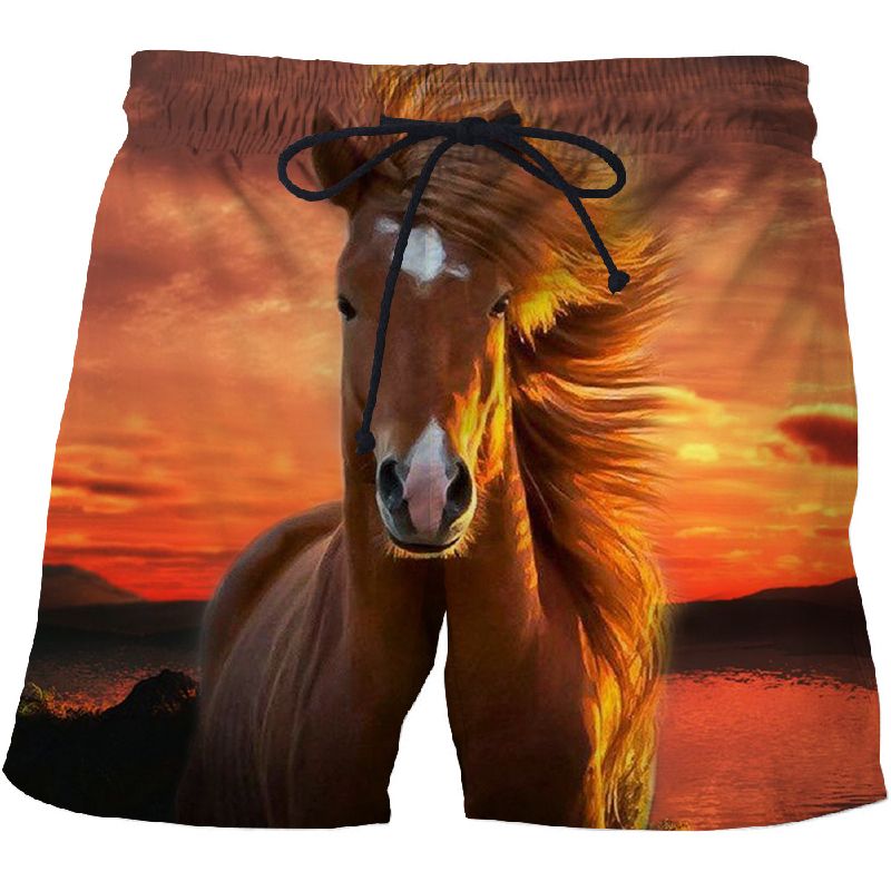 Men's Abstract Dog Pattern Beach Shorts 3D Pattern Board Shorts Men's/Women's Shorts Streetwear Men's Clothing_voghion.com