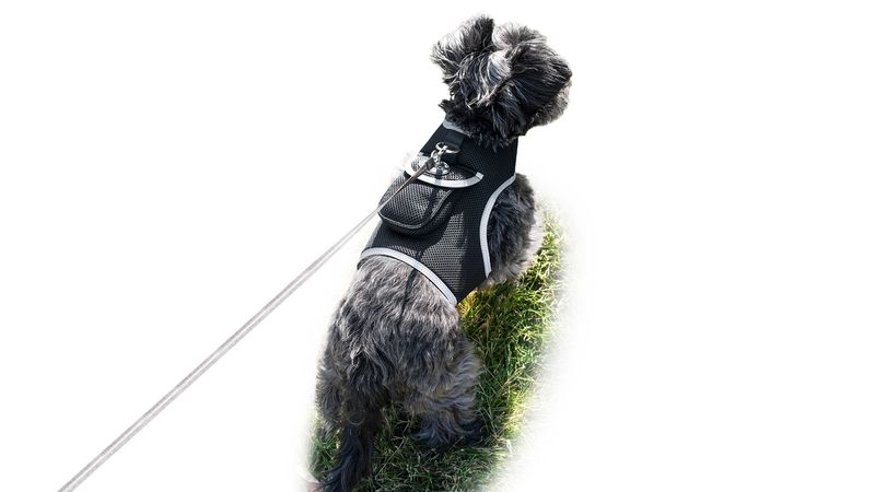 Cheap Dog Cat Pet Protection Consistent Locator Animal GPS Tracker NEW Size:XL_voghion.com