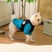 Ropa de invierno para perros pequeños y medianos, abrigo de forro polar, chaqueta con anilla en D, ropa para cachorros y accesorios para perros de PawParty Store._voghion.com