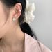 S Pure Silver Korean Blogger Fever Same Fan-shaped Ins Style Light Luxury High-end Stud For Women New Earrings_voghion.com