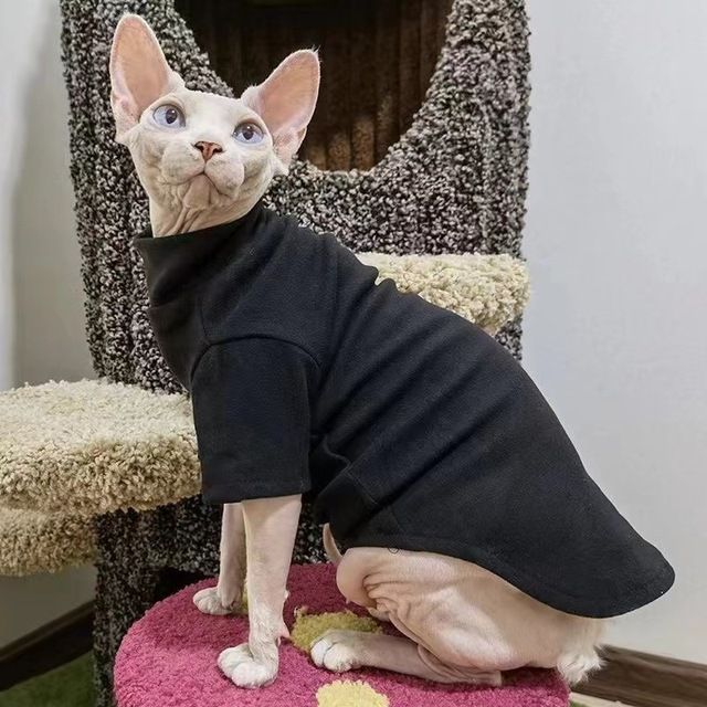 Winterwarme kleding met een afbeelding van een Sphynx, coltrui, haarloze jas met kitten voor kleine en middelgrote honden, kattenpyjama, van PawParty Store_voghion.com