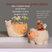 Cartoon Animal Ceramic Flower Clearance Sale Exquisite Small Large Diameter Cute Succulent Special Pot Desktop_voghion.com