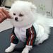 Trendy Spring And Autumn Pet Jacket Printed Teddy Dog Clothes_voghion.com