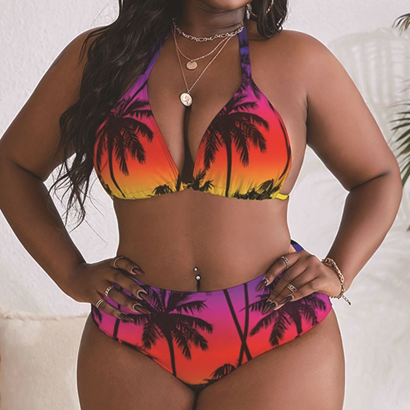 Women's Clothing Printed Sexy Large Size Swimsuit Women's Beach Shorts Bikini Three Piece Swimsuit_voghion.com