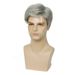 Men's Wigs Gray And White Side Parted Short Straight Hair Elastic Net Chemical Fiber Short Wig_voghion.com