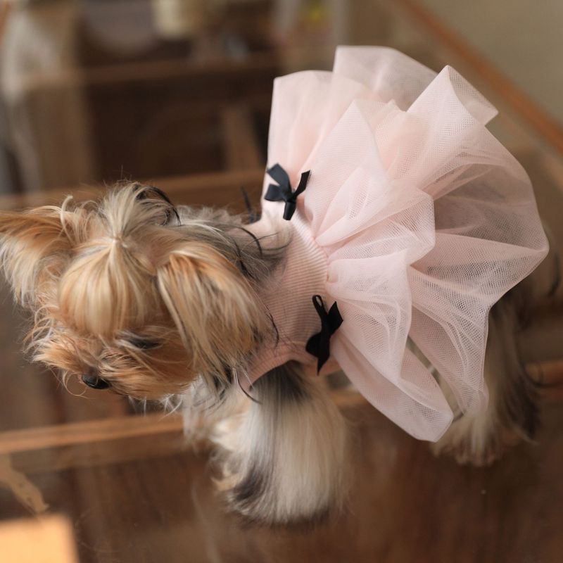 Haustierkleidung Sommer Atmungsaktive Weste Bowknot Blumenknospe Hochzeitskleid Prinzessin Yorkshire Terrier Kleine Mittelgroße Hunde_voghion.com