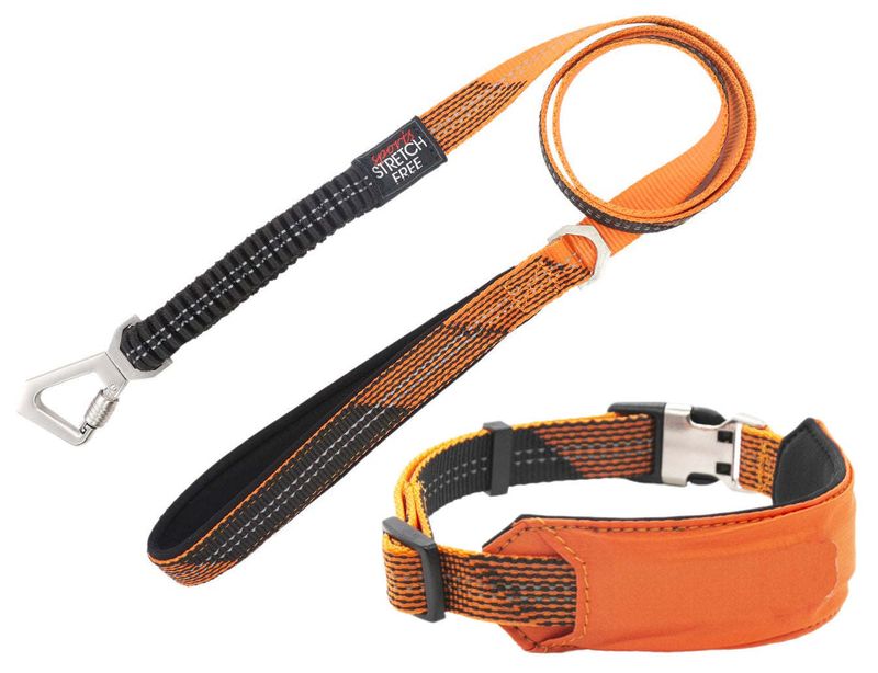 Pet Life 'Geo-prene' 2-in-1 Shock Absorbing Neoprene Padded Reflective Dog Leash and Collar_voghion.com