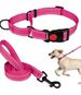 Pet Supplies Nylon Adjustable Reflective Collar Set Dog Leash_voghion.com
