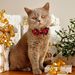 Christmas Adjustable Bow Collar, Cute Bell Cat Collar_voghion.com