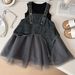 Kinderkleidung 2025 Sommer Neue Mädchen Denim Mesh Kleid Zweiteiler Sommer Niedliche Prinzessin Kleid_voghion.com