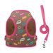 Spring And Summer New Pet Leash Embroidered Vest Heavy Duty Dog Chest Harness Anti-Escape Puppy_voghion.com