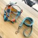 Pet Outdoor And Leash Set C-Shape Little Elephant Harness_voghion.com