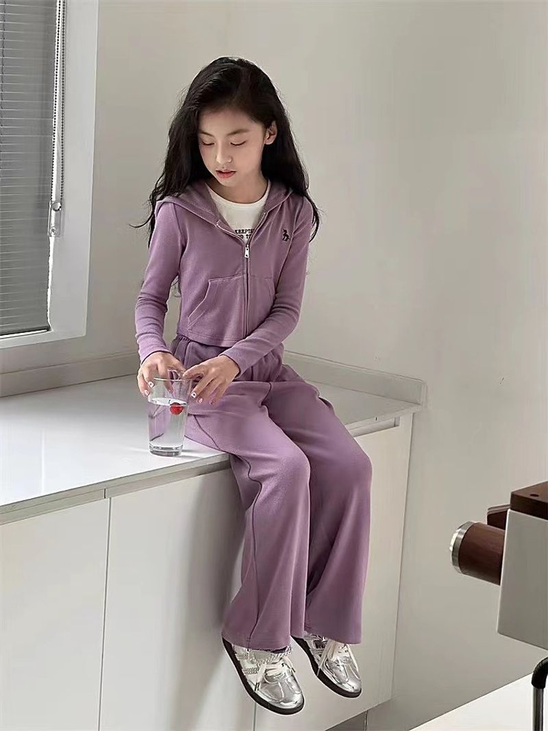 Abbigliamento per bambini, casual, largo, corto, felpa con cappuccio, pantaloni a gamba larga, grandi, due pezzi, completo per bambini_voghion.com