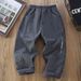 Boys' Fleece-Lined Cargo Pants - Winter Warm Thickened Trousers For Big Kids, Windproof Casual Joggers With Elastic Waist (Khaki, Iron Grey)_voghion.com
