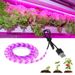 Striscia LED a spettro completo con USB, impermeabile, autoadesiva per piante da interno, piante grasse, verdure – 2835 luce rosa viola_voghion.com