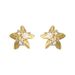 Light Luxury High-End Thick Gold-Plated Starfish Zircon Stud Earrings - Sterling Silver Posts For Women’s Ocean-Inspired Style_voghion.com