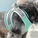 Leash And Vest Set For Small Dogs By PawParty Store_voghion.com