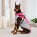 Winter Waterproof Jacket CDDMPET For Dogs By PawParty Store_voghion.com