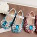 Mother&Kids Girls Princess Shoes Crystal Children girls Foreign style baby shoes soft soled single shoes_voghion.com