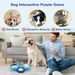 New Product Puzzle Pet Multi-layer Rotating Turntable Slow Food Plate Training Dog Foraging Toy_voghion.com