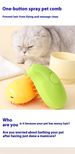 New Cross-border Mango Pet Comb Cat And Dog Electric Spray Brush Massage Comb One-click Spray Anti-flying Hair Massage Wash_voghion.com