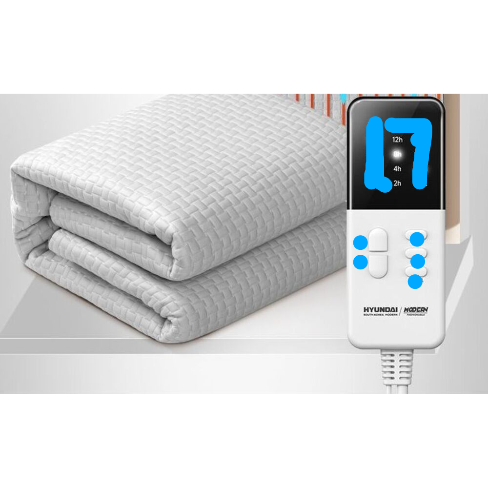 Heating Blanket Home Foot Warmer Double Control Switch Water Circulation Pad Temperature Adjustable Electric Mattress_voghion.com