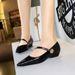 3683-7K92 high-end straight strap single shoe, light luxury pointed toe wedge low heel, metal decorative high heels_voghion.com