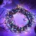 LED Copper Wire Firecracker Garden Decoration Centipede Foot Decorative String Lights_voghion.com