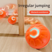 Interactive Ball For Dogs By PawParty Store_voghion.com