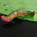 New Submerged Big Bass Trout Pike Four-Section Multi-Section Bionic Shark Lure Hard Bait Crankbait Fishing Gear_voghion.com