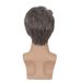 Synthetic Clip-in New Wigs Men's Gray Mixed Short Wigs Fluffy Natural Fashion Chemical Fiber Wigs_voghion.com