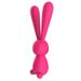Vibratore a forma di coniglio per punto G per la stimolazione del clitoride femminile, ideale per coppie o sesso da soli_voghion.com