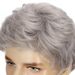 Synthetic Clip-in New Products Men's Gray Side Parted Short Straight Hair Handsome And Fashionable Chemical Fiber Wig Headpiece_voghion.com