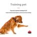 Pet Ordering Cat Trainer Artifact Puzzle called Meal Claw Printing Bell Dog Toy_voghion.com
