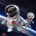 Halloween Funny Astronaut Self-Standing Costume Small And Medium Dogs, Quirky Transformation Outfit For Cats, Pet_voghion.com