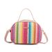 Women's Bag New Ladies Bag Straw Colored Hand Held Sequined Ladies Messenger Bag_voghion.com