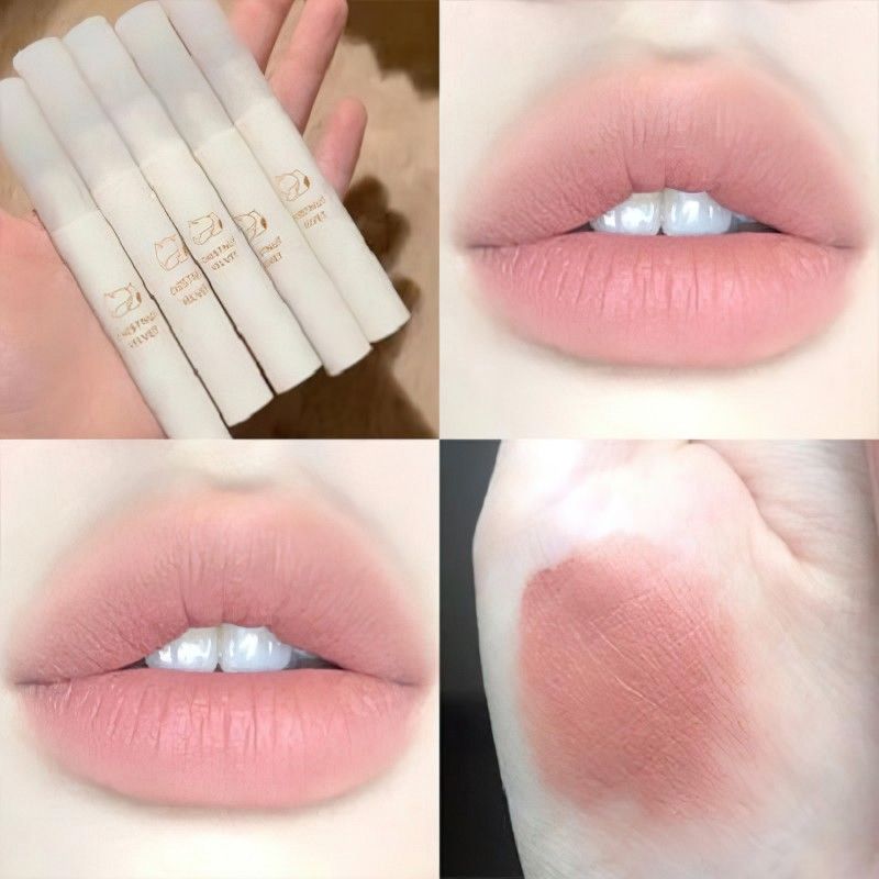 Lip Matte Nude Gloss 5 Farben Wasserdicht Kein Verblassen Langanhaltender Nude Brown Flüssiger Lippenstift Natürlicher Lip Ti Stick_voghion.com