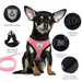 Summer Cat Dog Harness Lead Leash Adjustable Vest Polyester Mesh Breathable Harnesses Reflective For Small Dog Cat Lesah_voghion.com